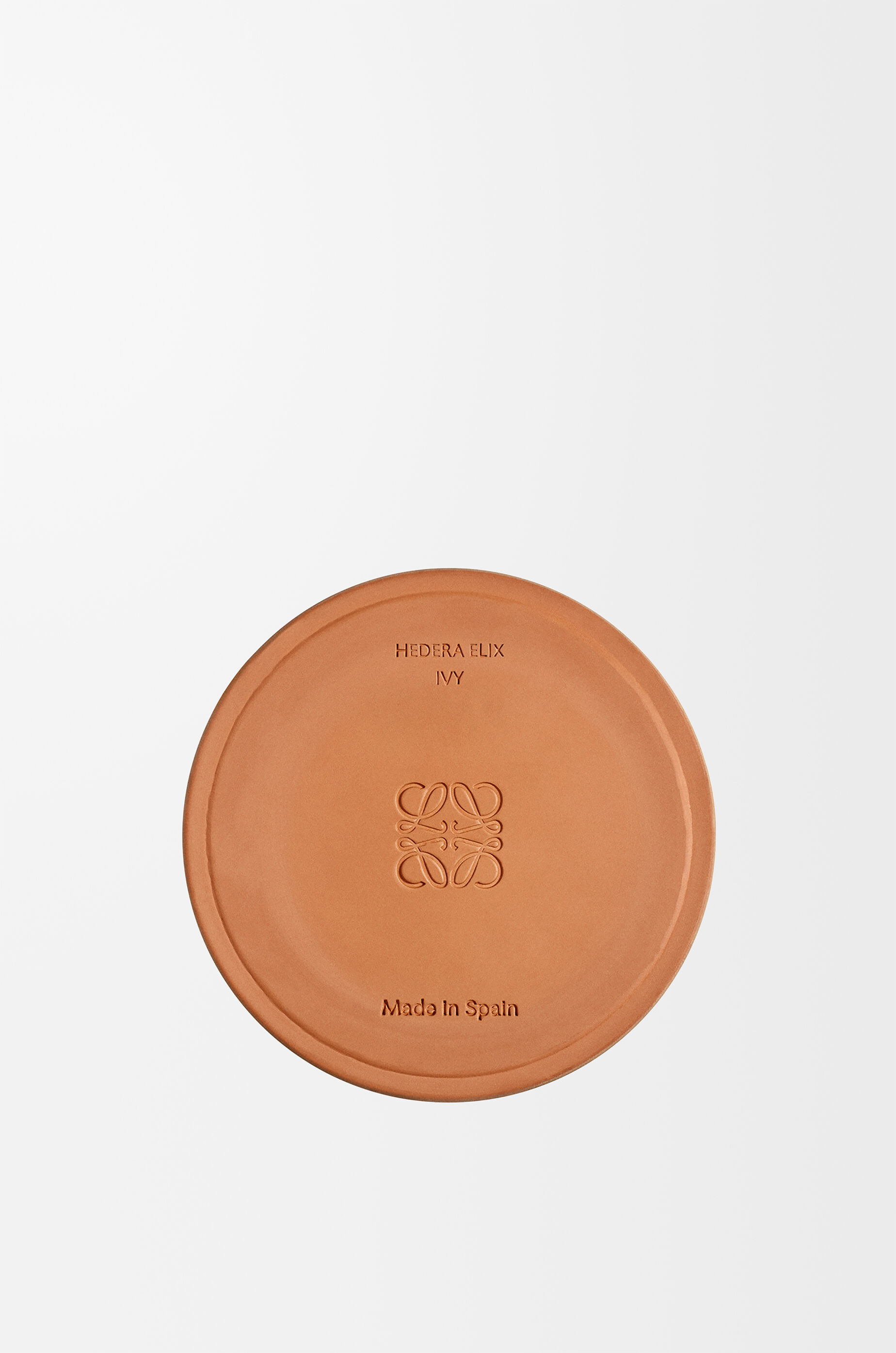 LOEWE Medium Ivy candle Light Pink