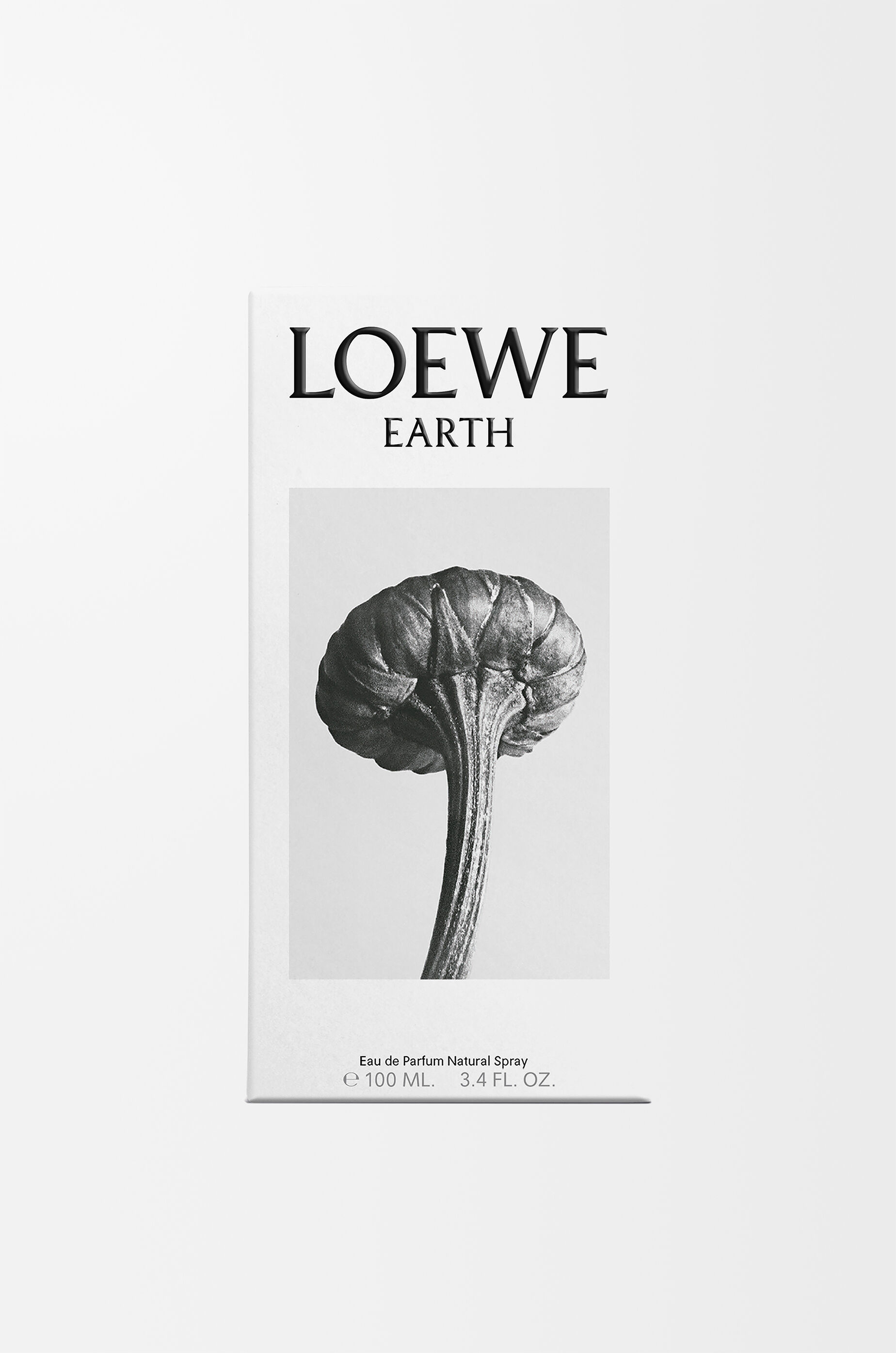 LOEWE LOEWE Earth Eau de Parfum 100 ml Purple