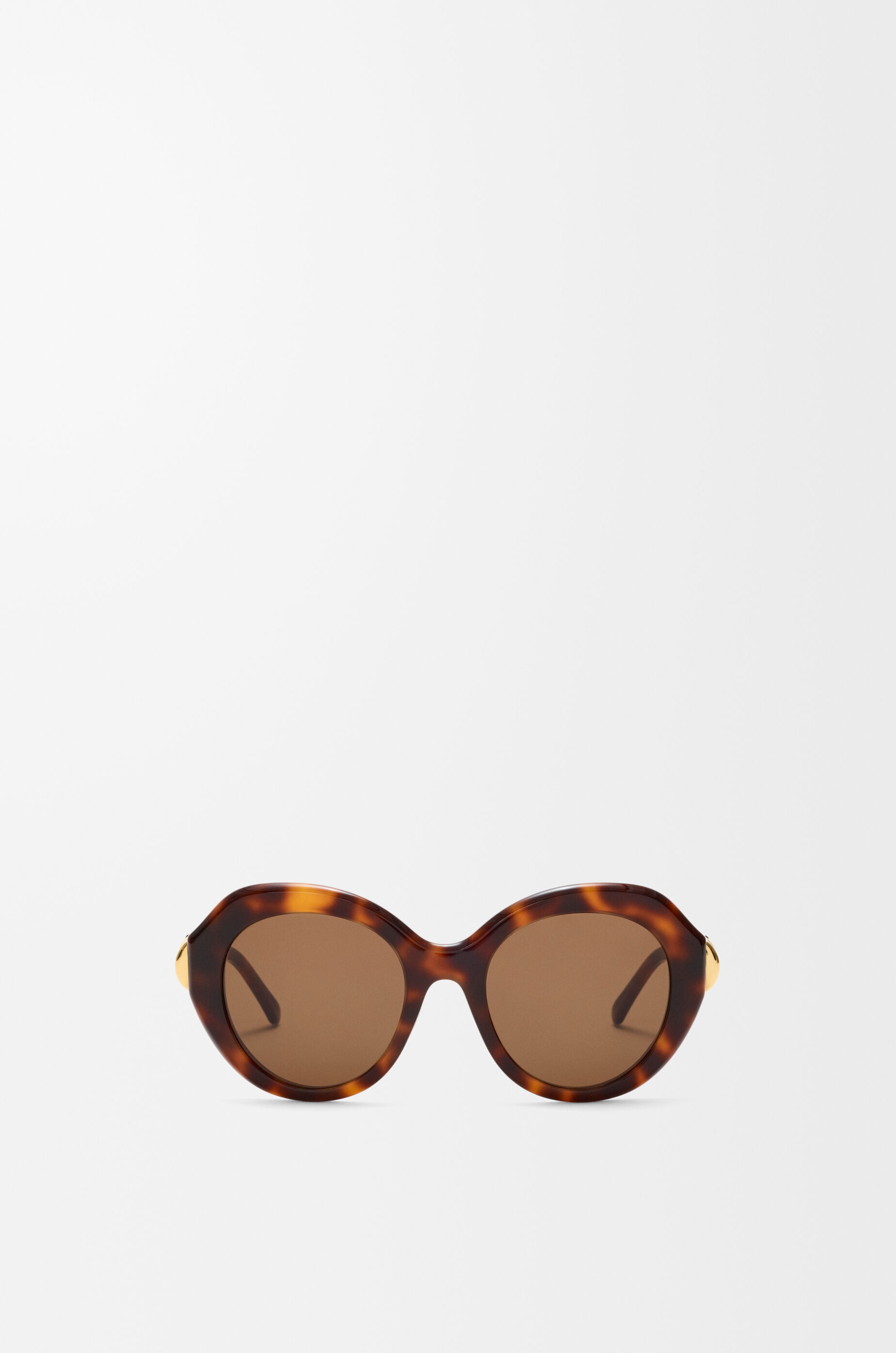 LOEWE Coil Butterfly sunglasses Havana
