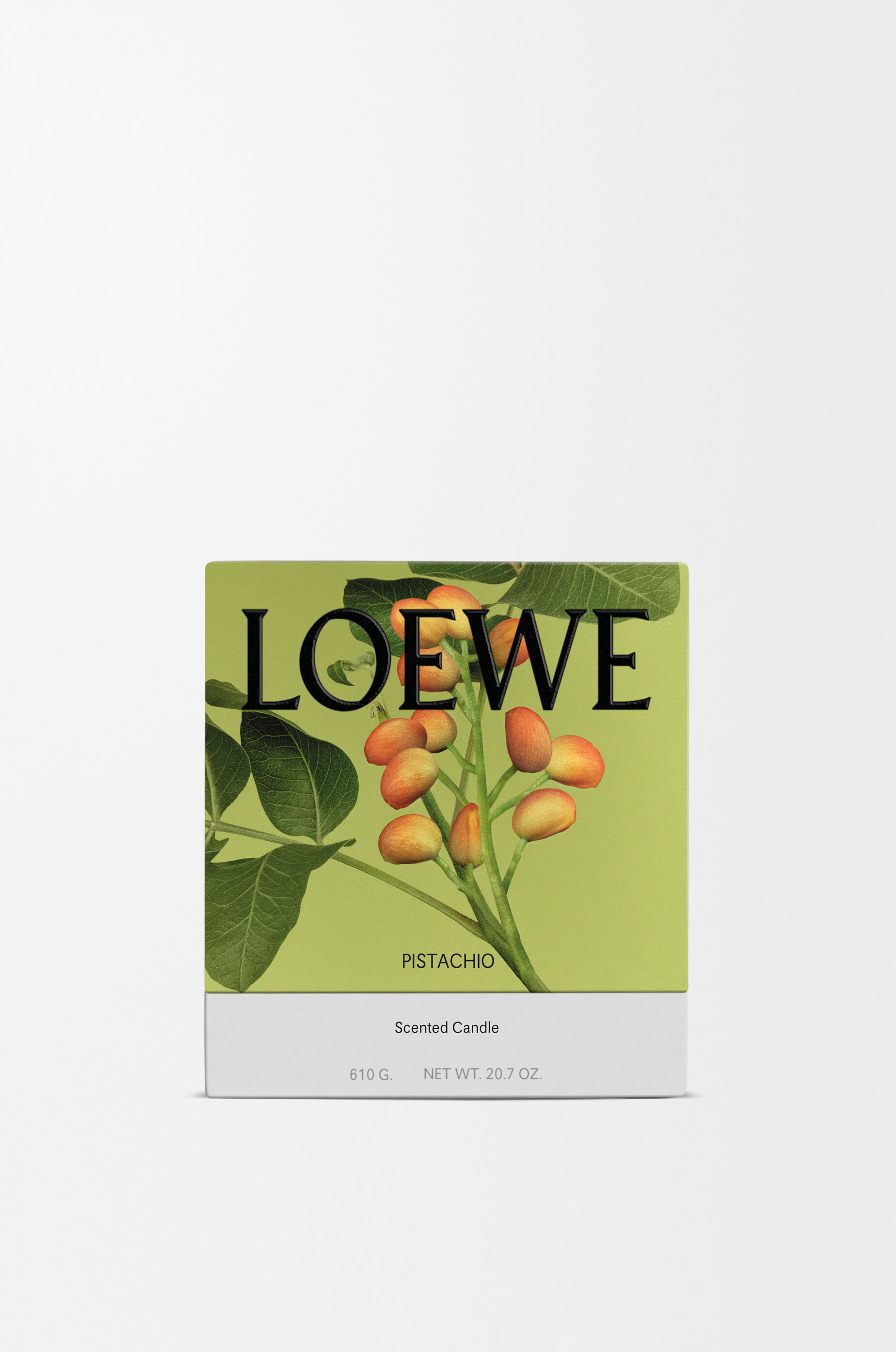 LOEWE Medium Pistacchio candle Pistachio
