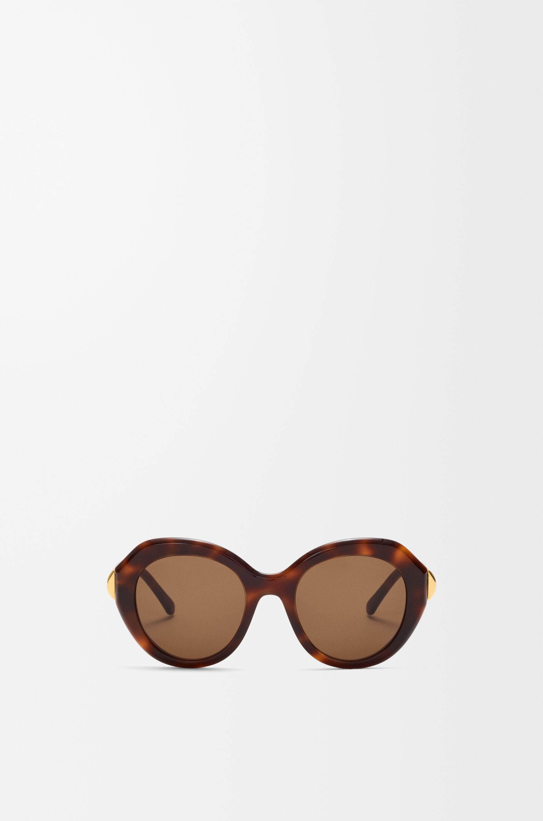 LOEWE Coil Butterfly sunglasses Havana