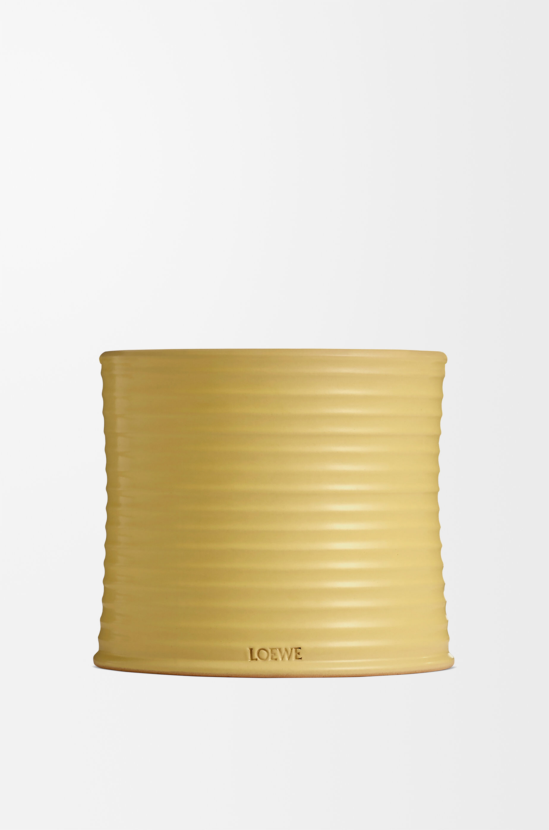 LOEWE Medium Honeysuckle candle Yellow