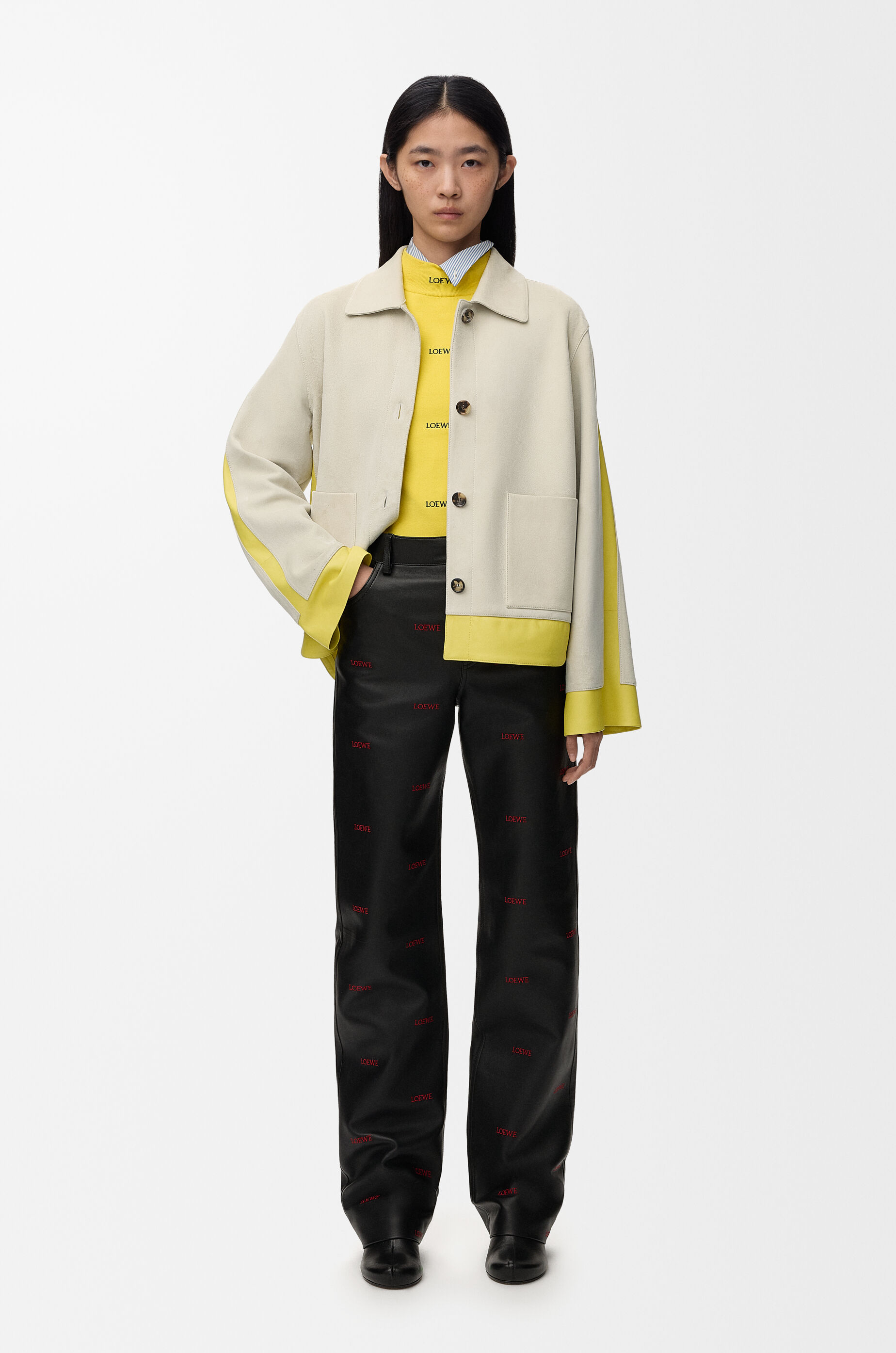 LOEWE Turn-up jacket in suede lambskin Light Grey