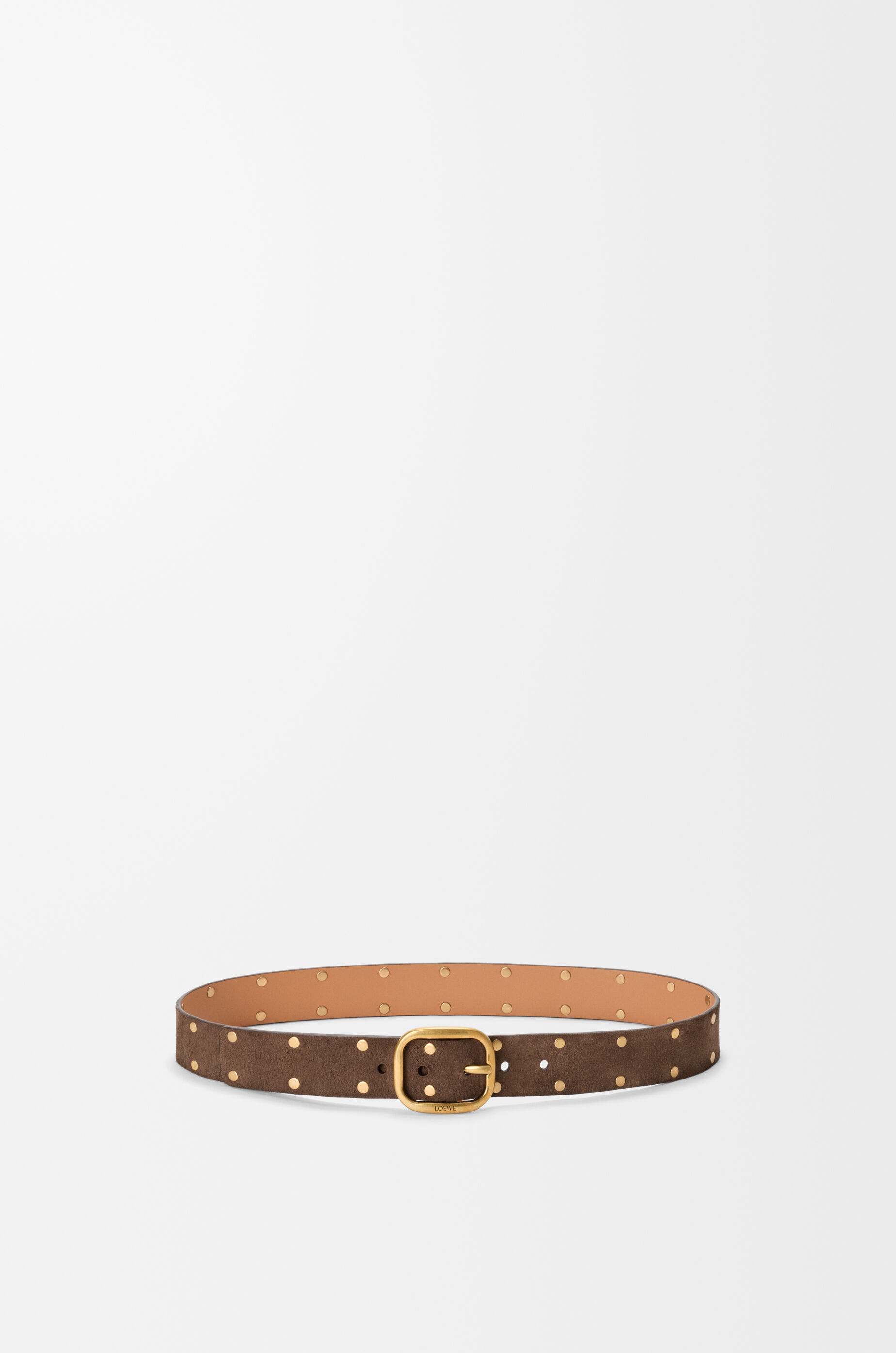 LOEWE Rounded soft belt in suede calfskin Wood/Vintage Gold