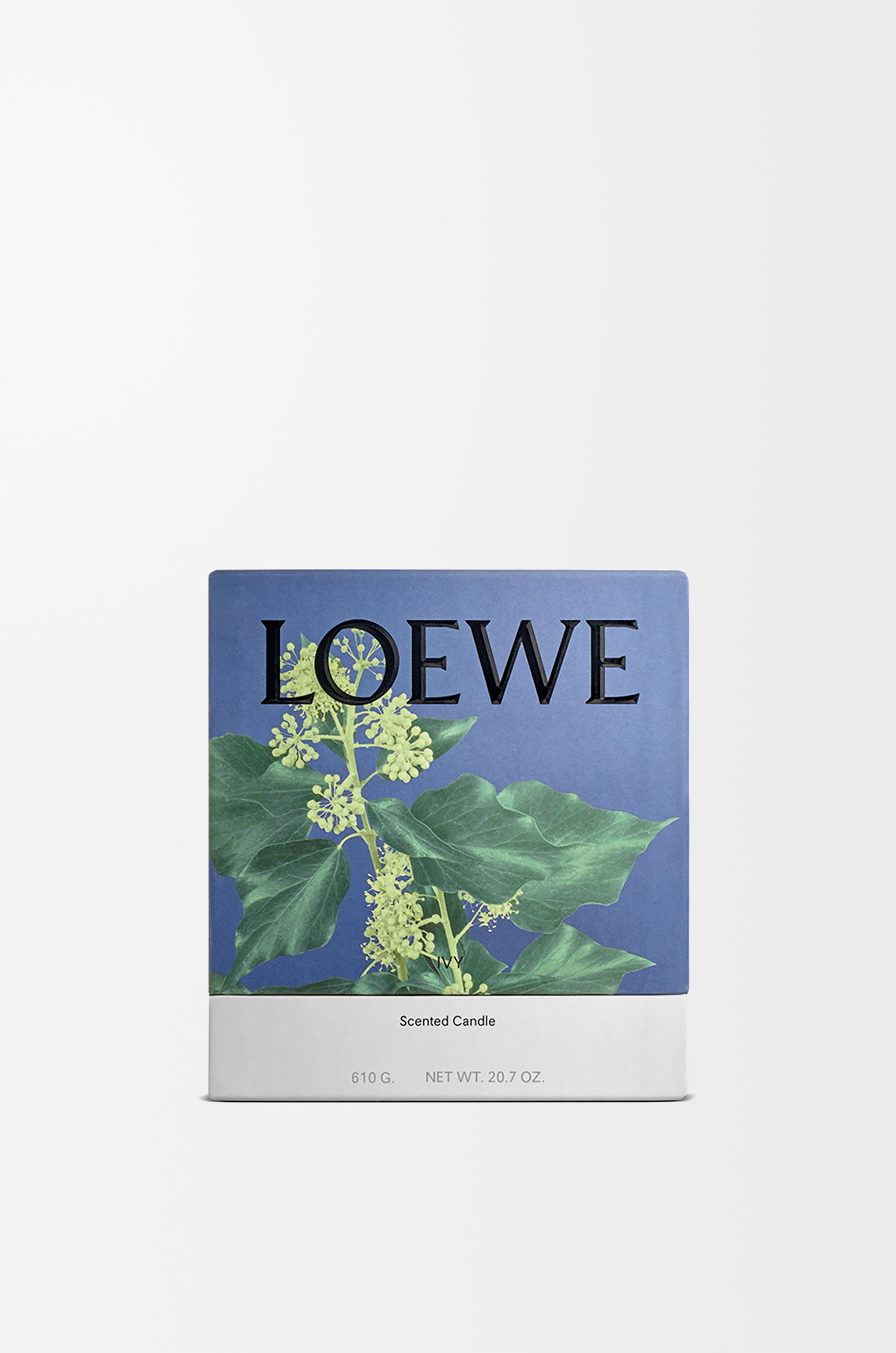 LOEWE Medium Ivy candle Light Pink