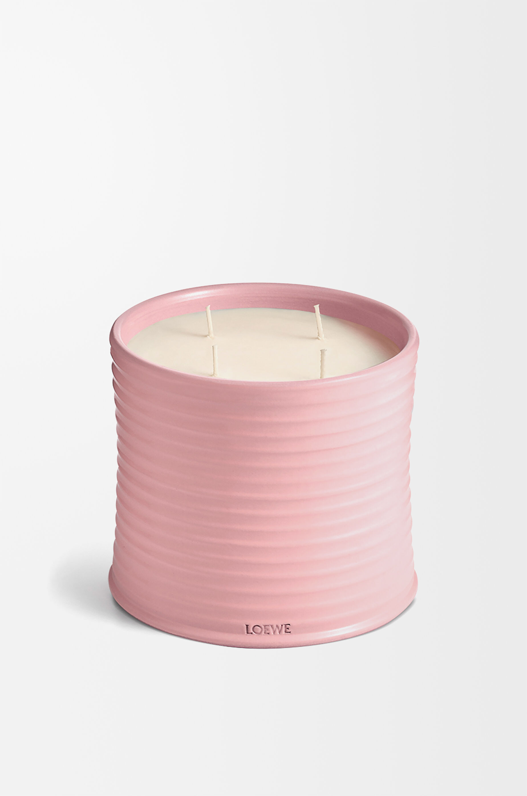 LOEWE Large Ivy candle Light Pink
