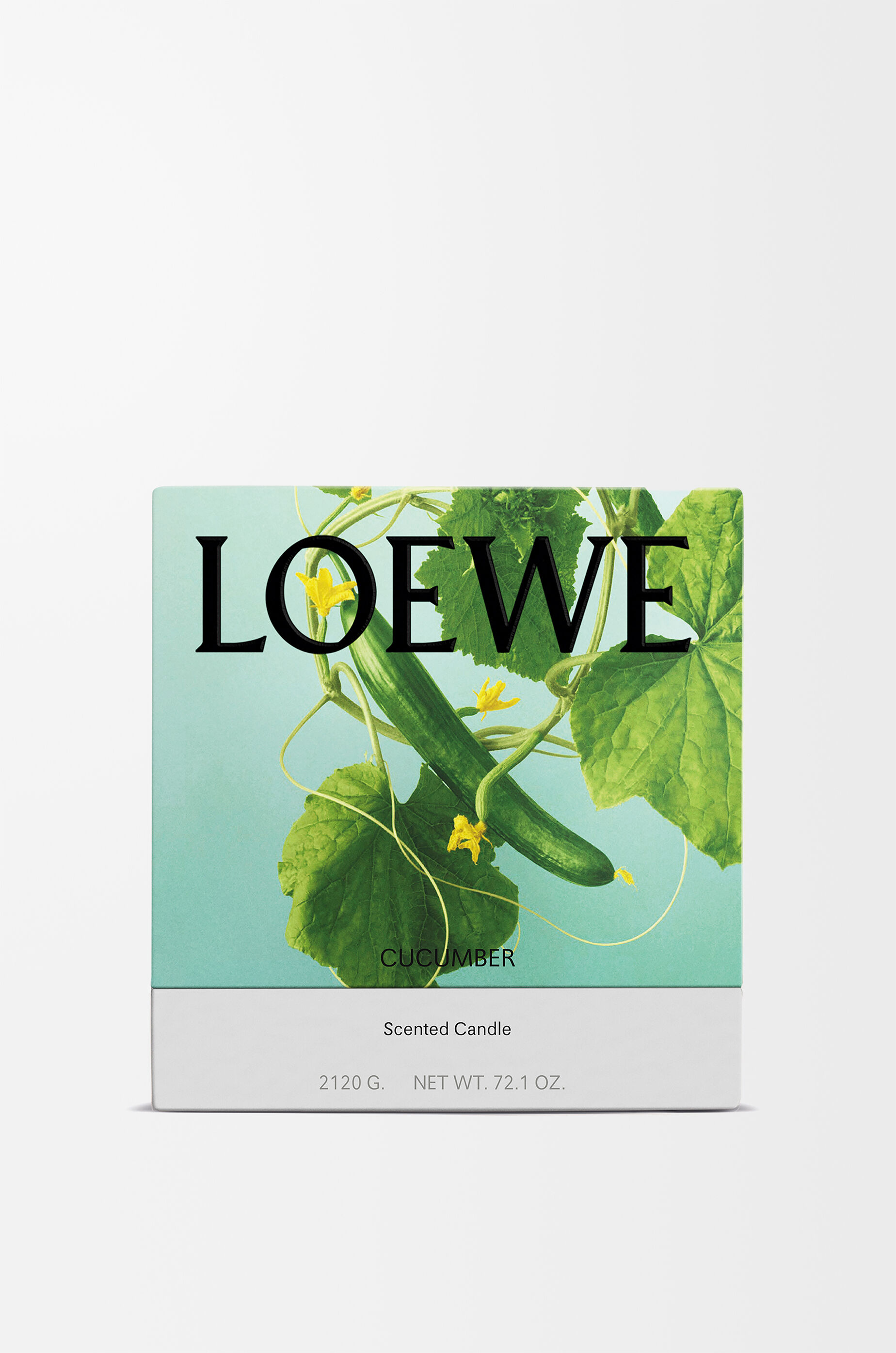 LOEWE Large Cucumber candle Light Green