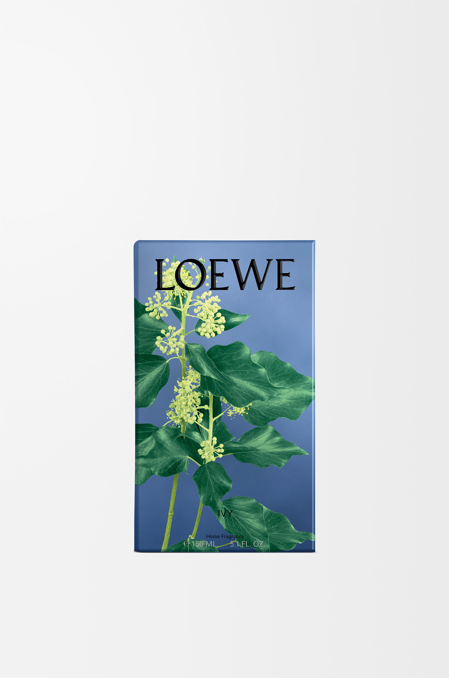 LOEWE Ivy room spray Light Pink