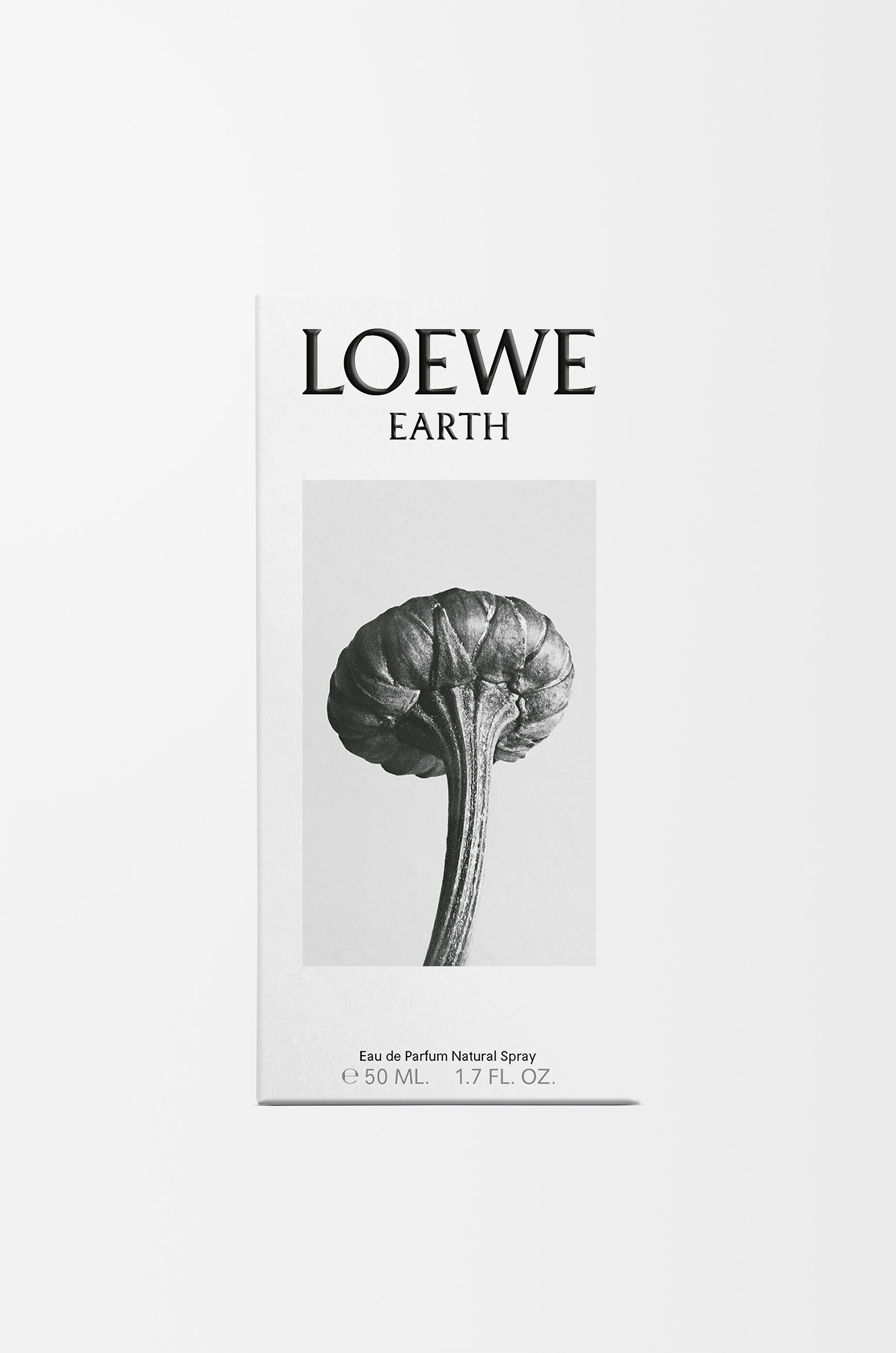 LOEWE LOEWE Earth Eau de Parfum 50 ml Purple