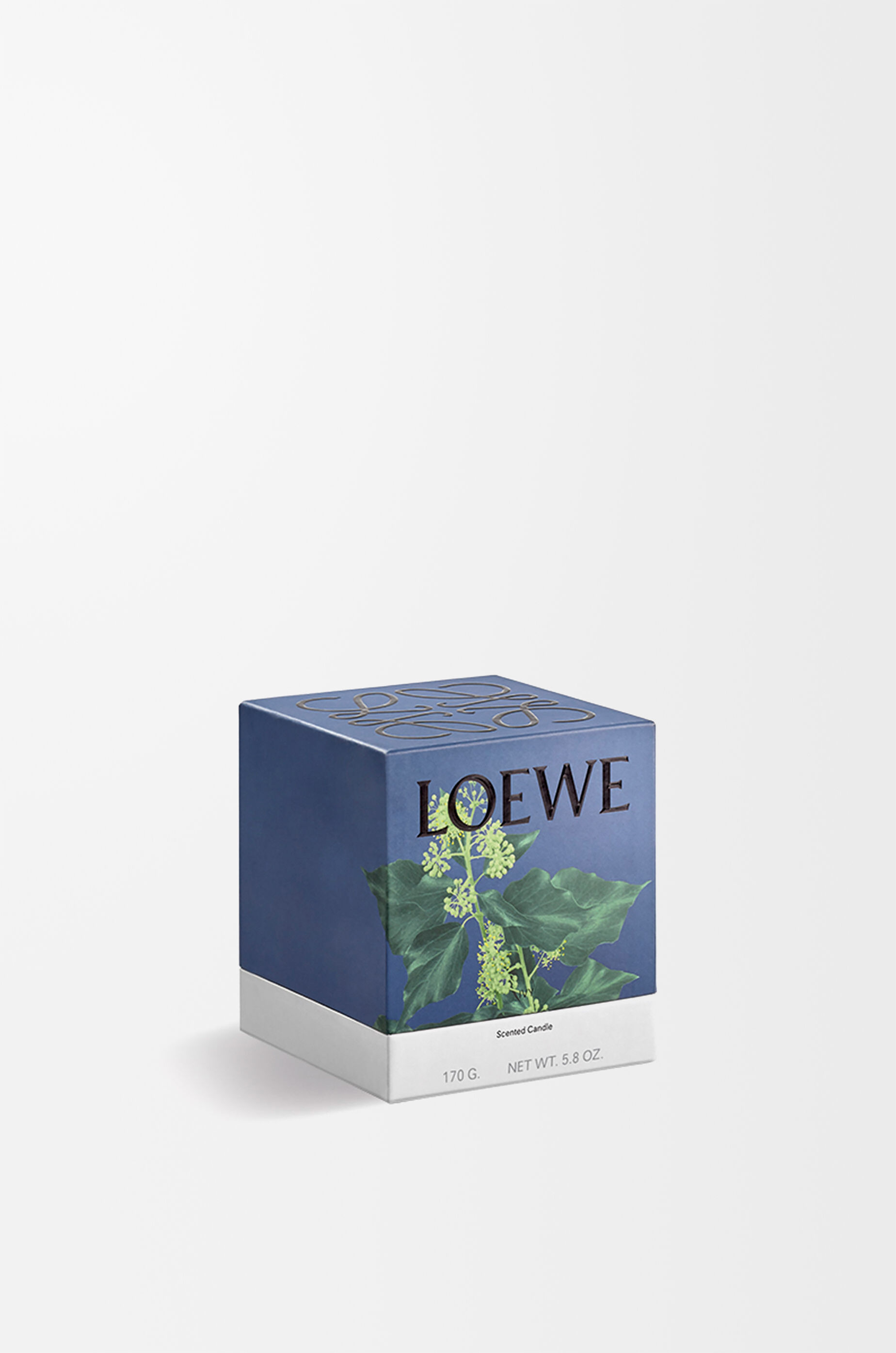 LOEWE Small Ivy candle Light Pink