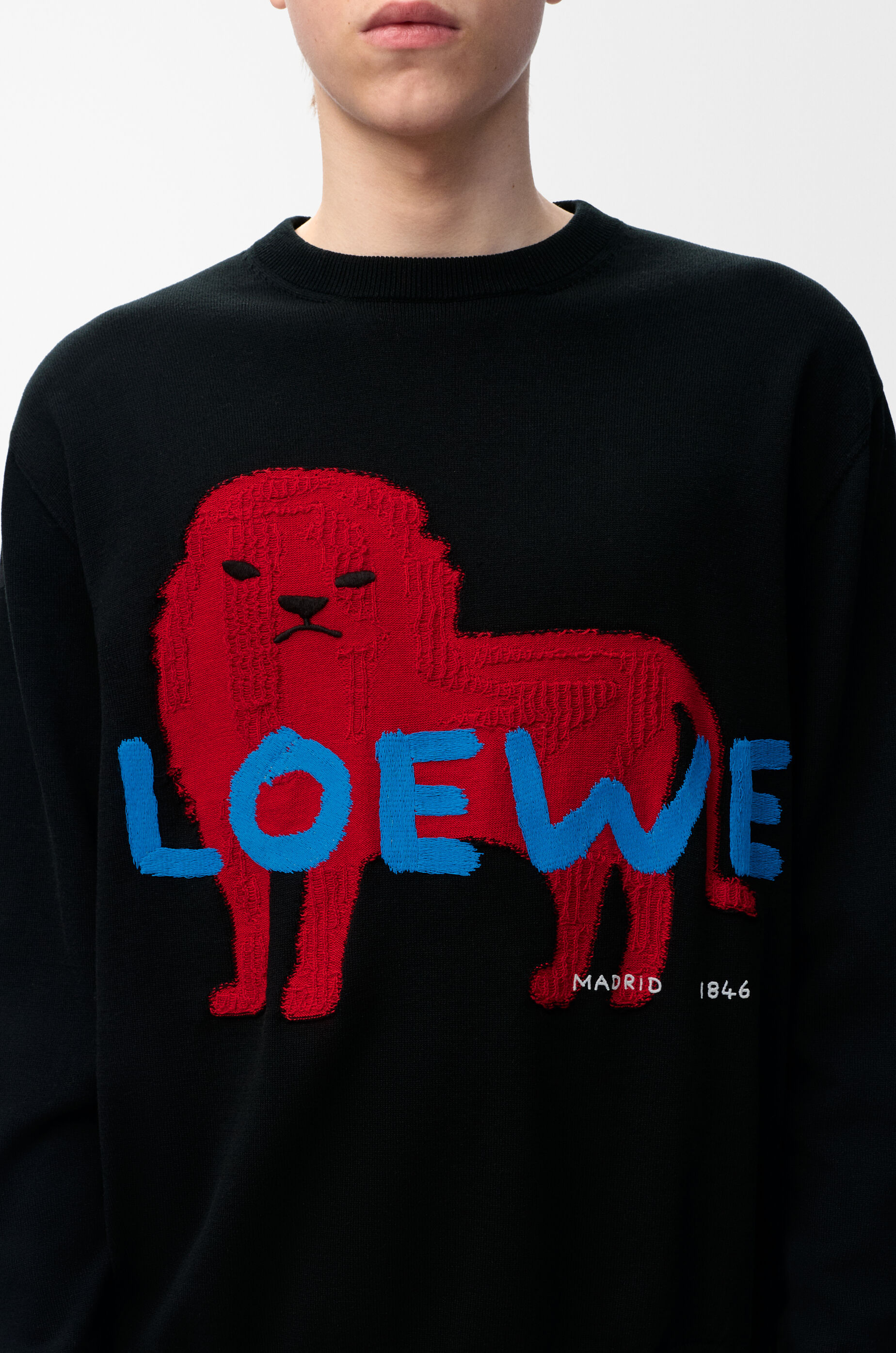LOEWE Sweater in cotton and silk Black