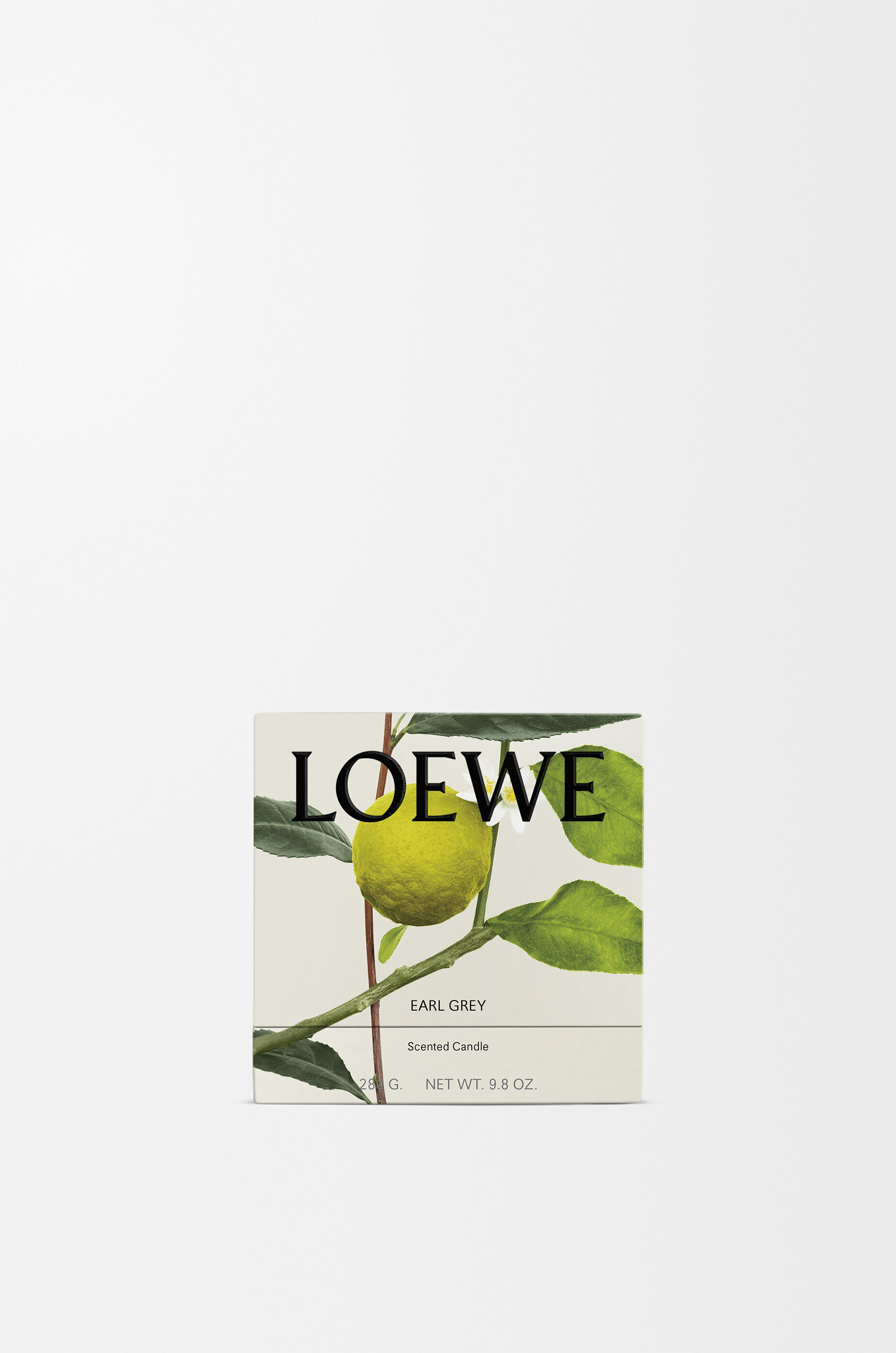 LOEWE Midi Earl Grey scented candle Gold