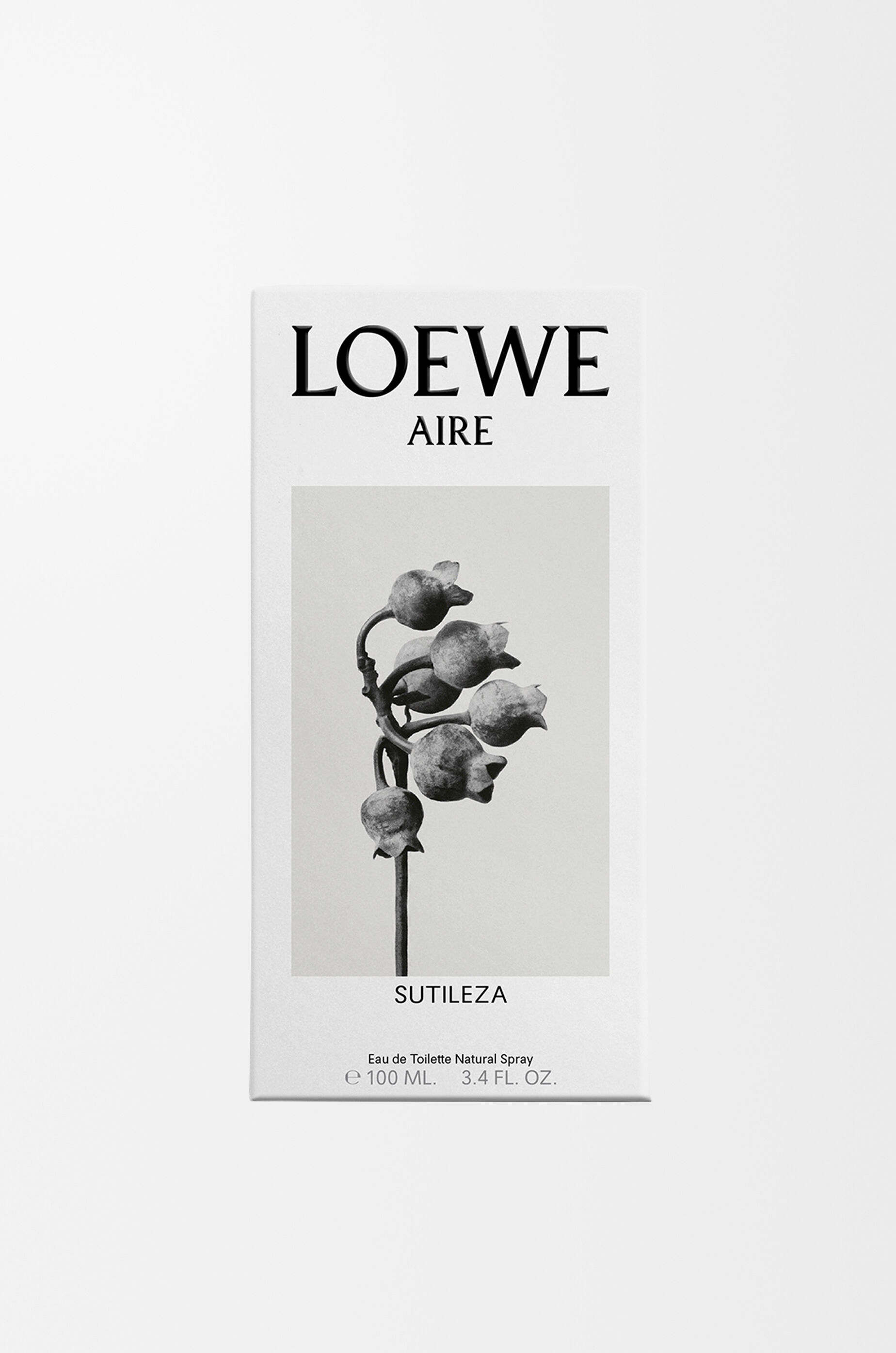 LOEWE LOEWE Aire Sutileza Eau de Toilette 100 ml Colourless