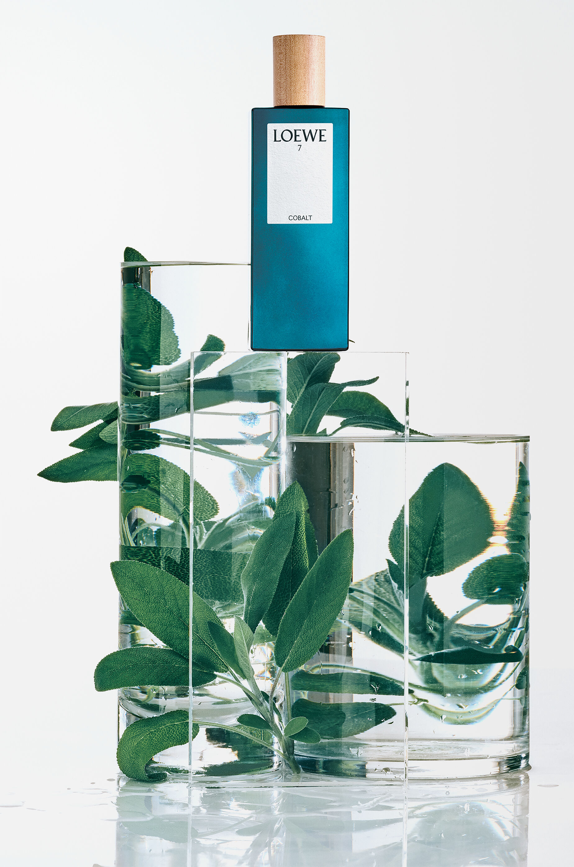 LOEWE LOEWE 7 Cobalt Eau de Parfum 50 ml Colourless