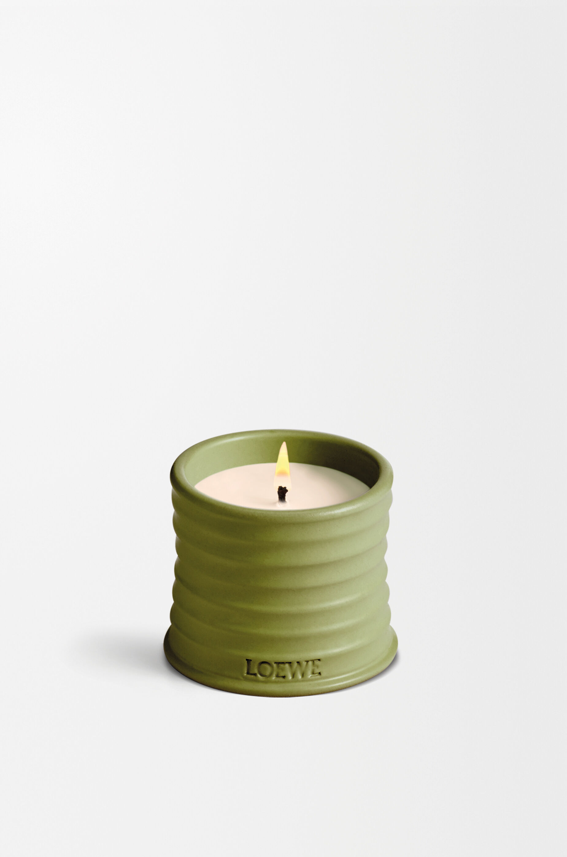 LOEWE Small Pistacchio candle Pistachio