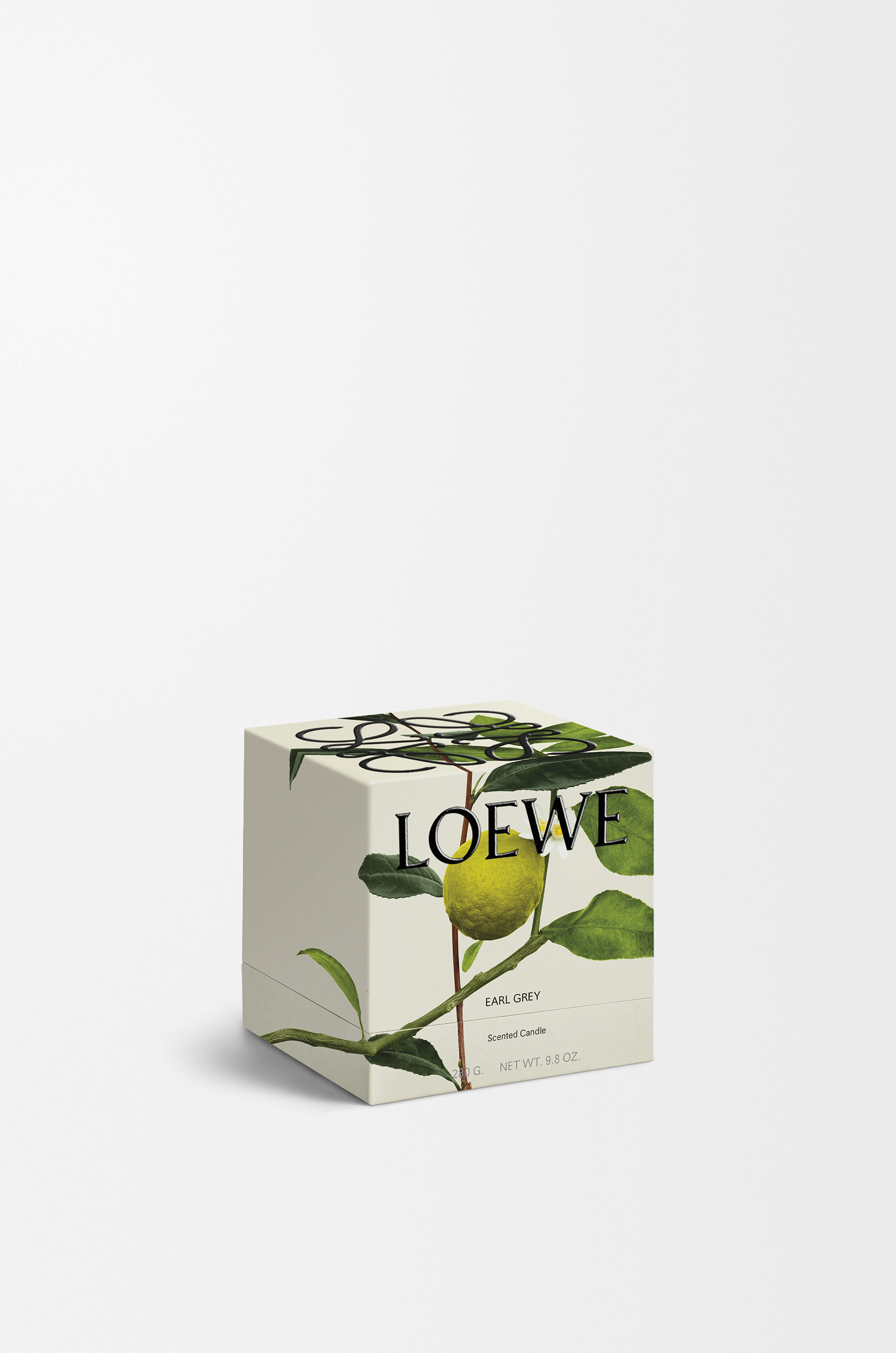 LOEWE Midi Earl Grey scented candle Gold