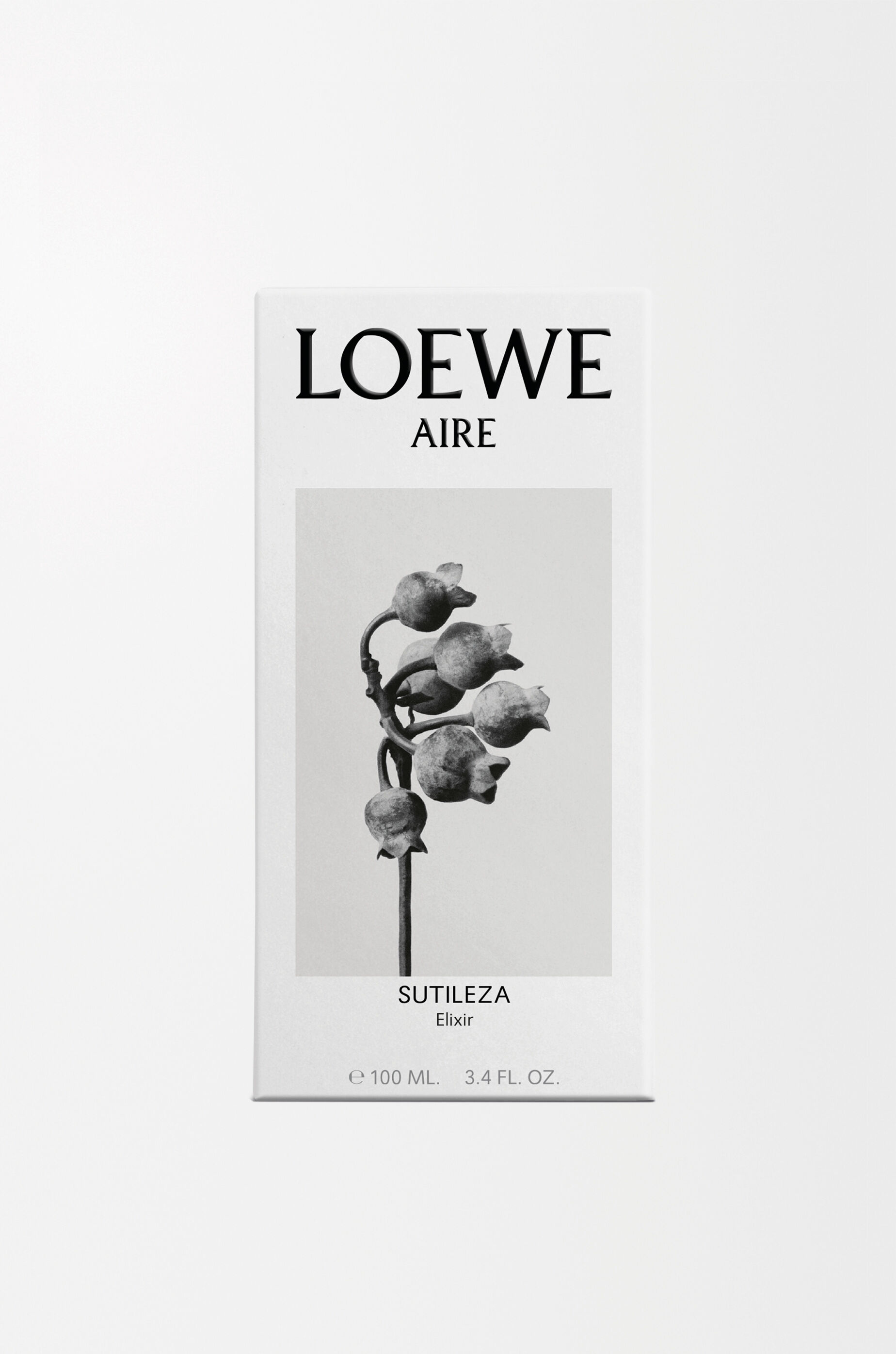 LOEWE LOEWE Aire Sutileza Elixir 100 ml Colourless