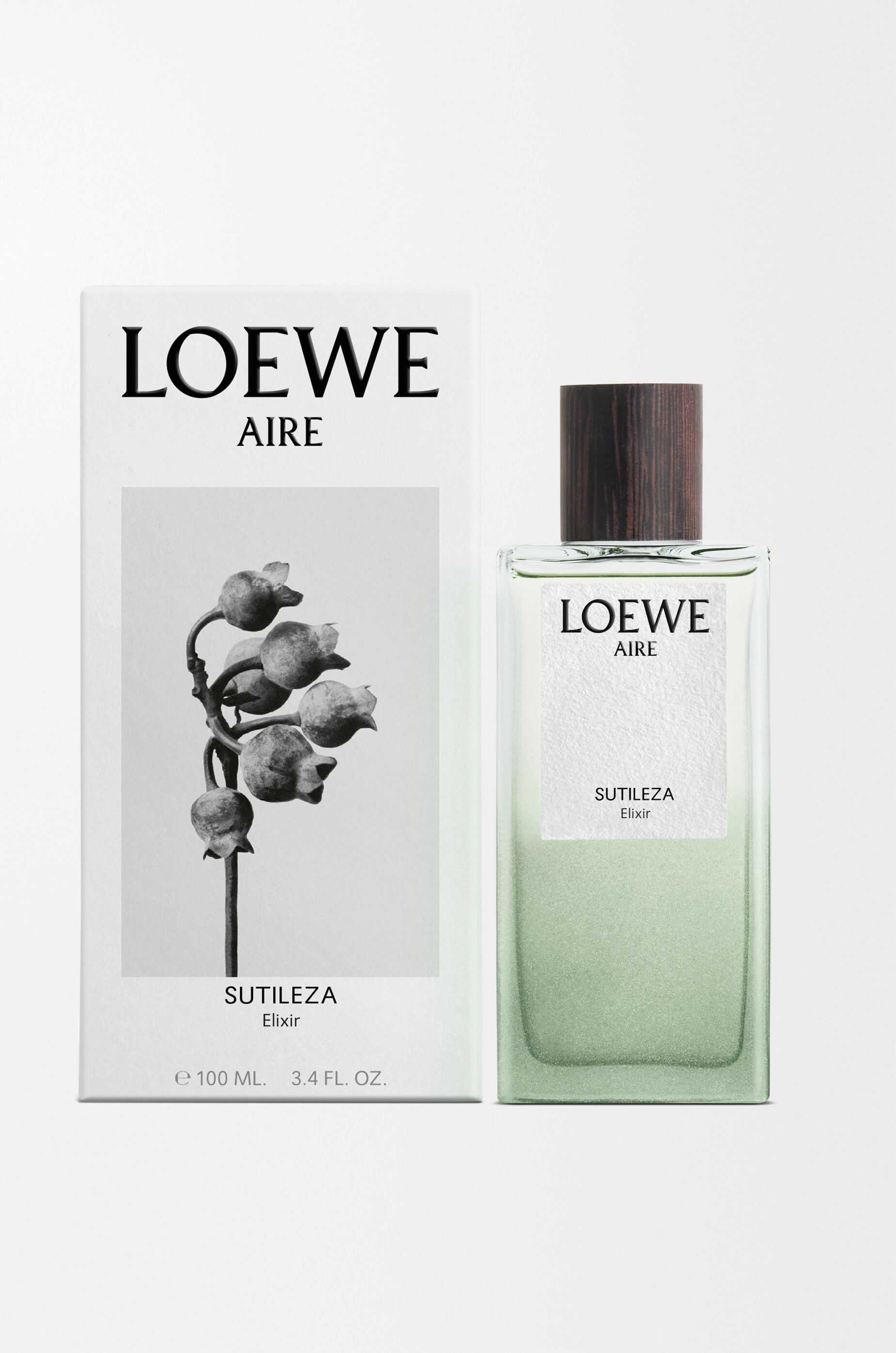 LOEWE LOEWE Aire Sutileza Elixir 100 ml Colourless