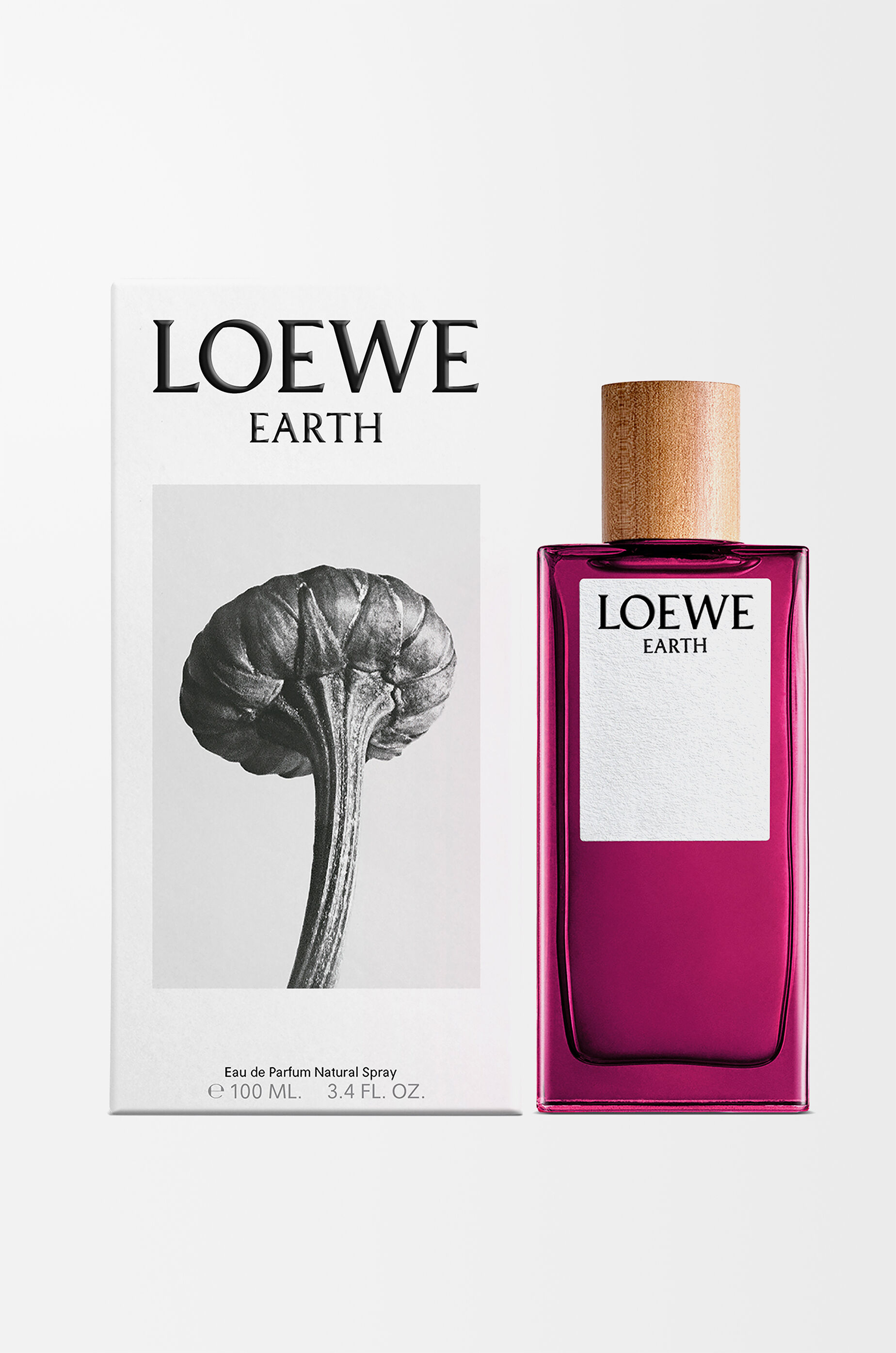 LOEWE LOEWE Earth Eau de Parfum 100 ml Purple