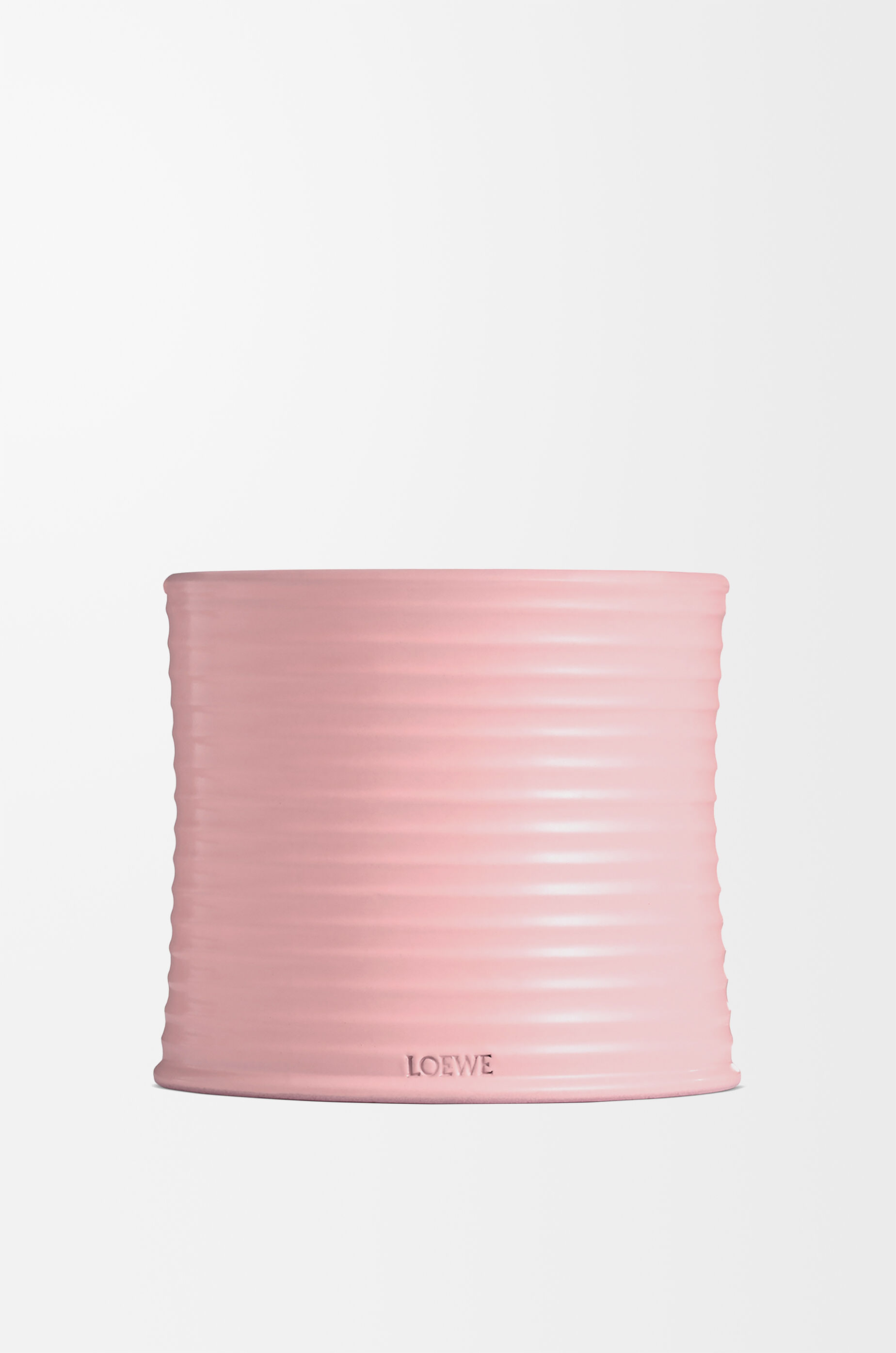 LOEWE Medium Ivy candle Light Pink