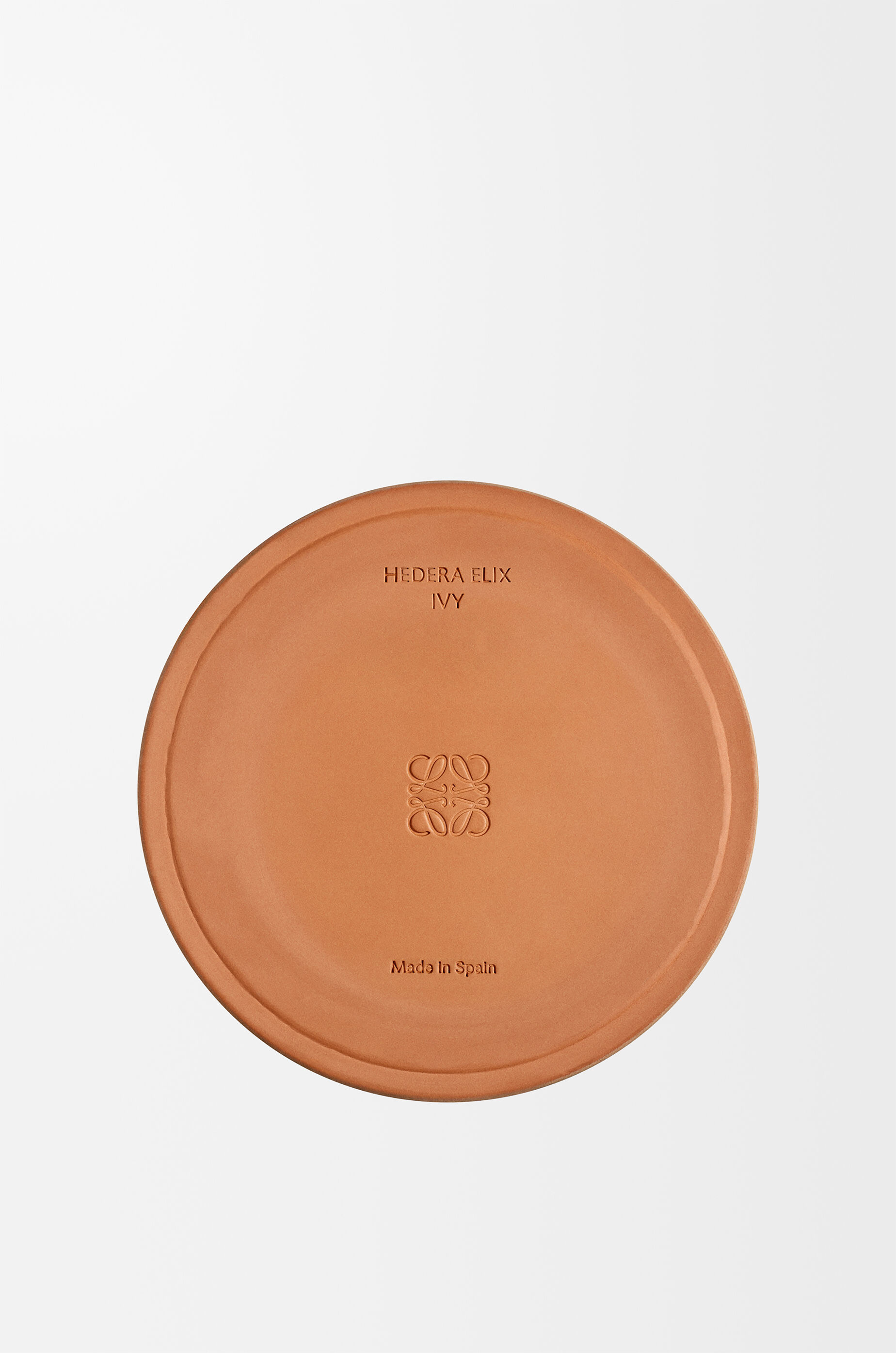 LOEWE Large Ivy candle Light Pink