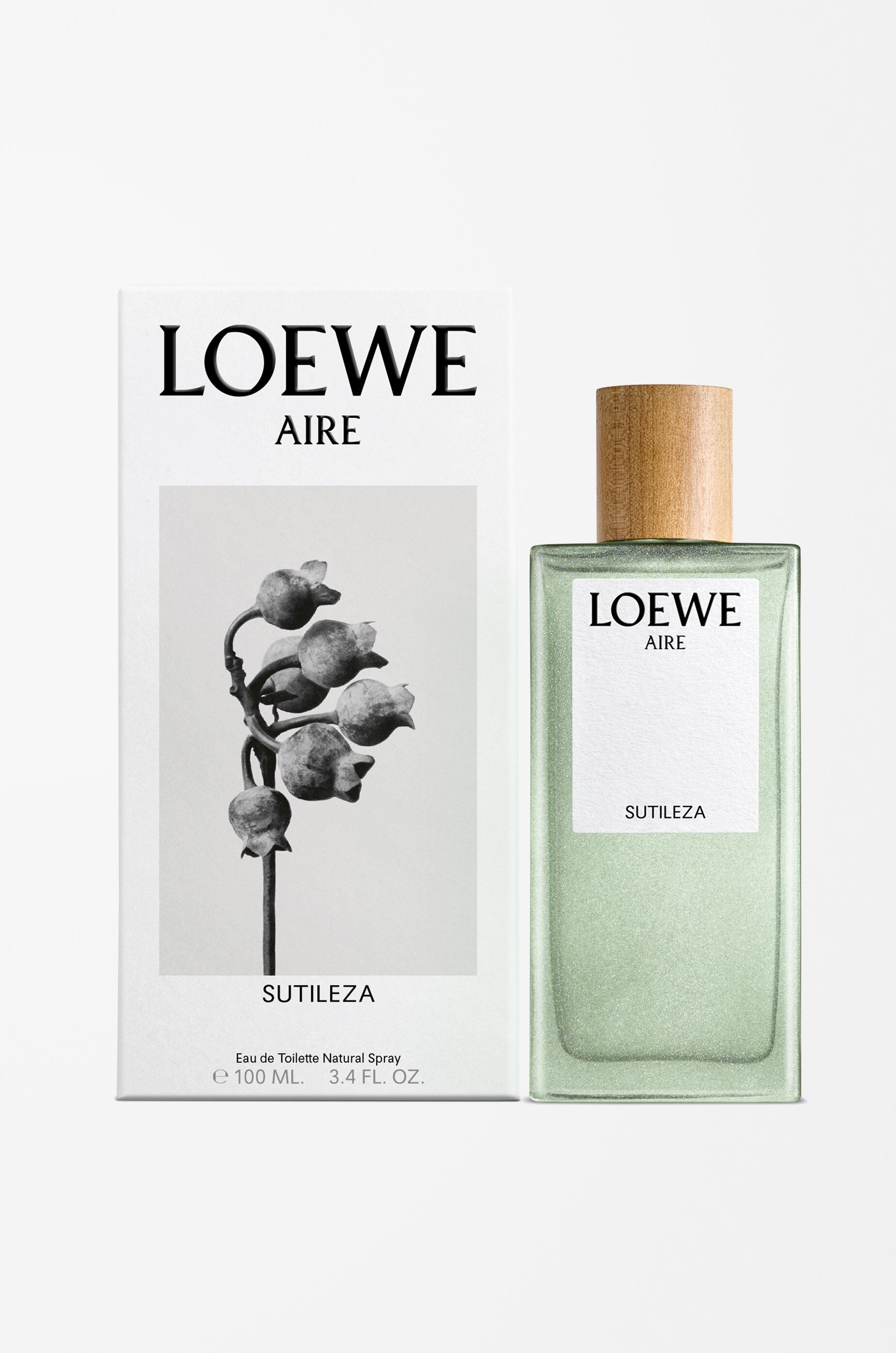 LOEWE LOEWE Aire Sutileza Eau de Toilette 100 ml Colourless